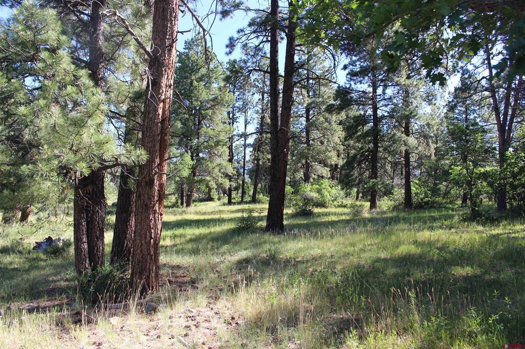 1422 Needles View Place Pagosa Springs CO 81147