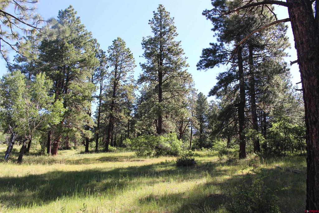 1422 Needles View Place Pagosa Springs CO 81147
