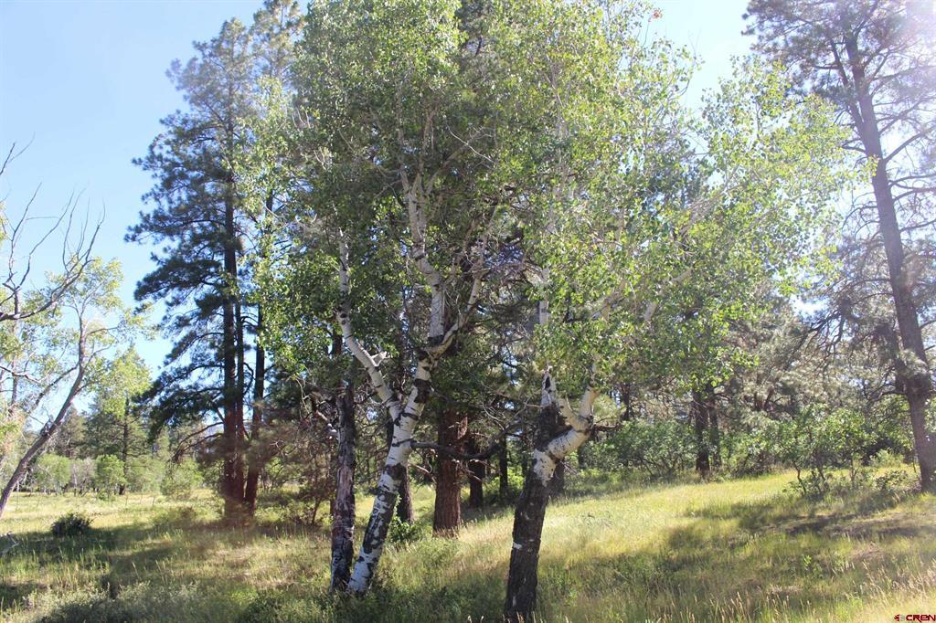 1422 Needles View Place Pagosa Springs CO 81147