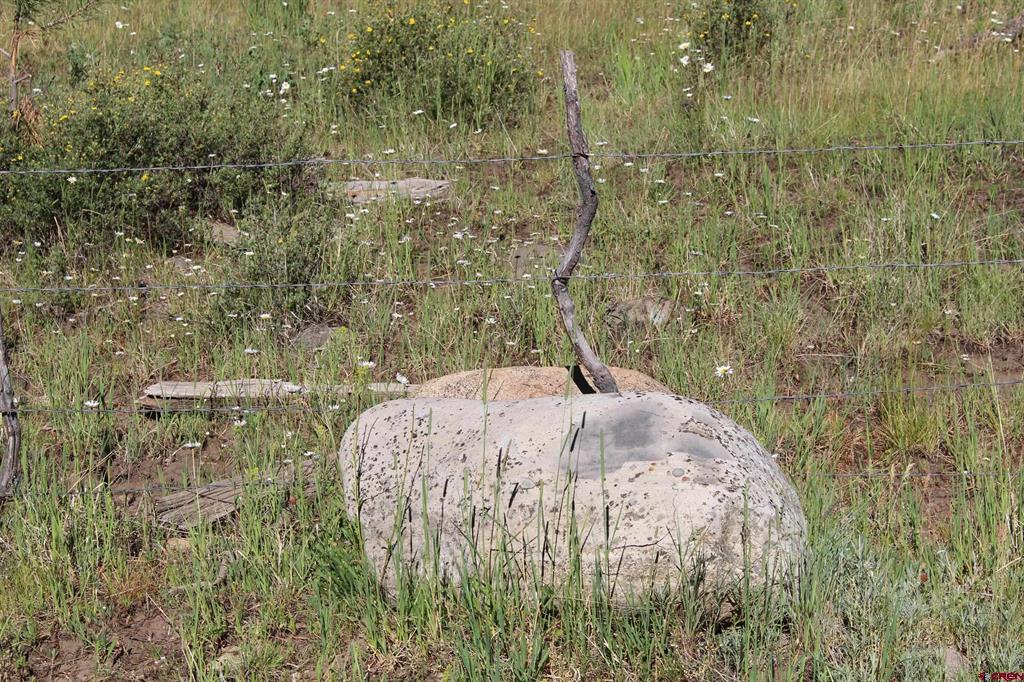 1422 Needles View Place Pagosa Springs CO 81147