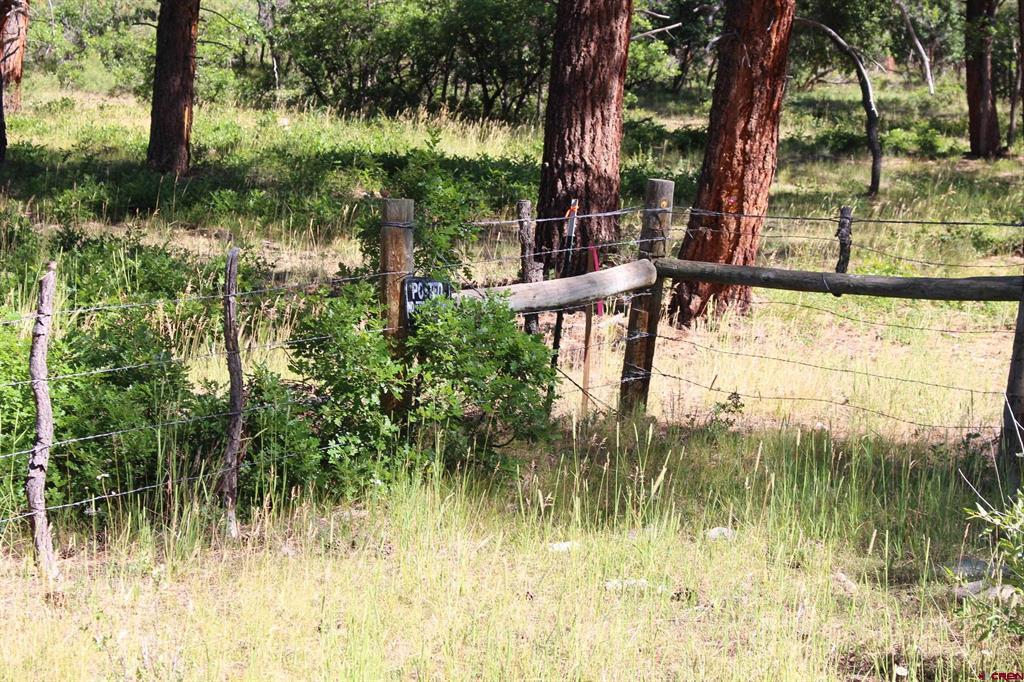 1422 Needles View Place Pagosa Springs CO 81147