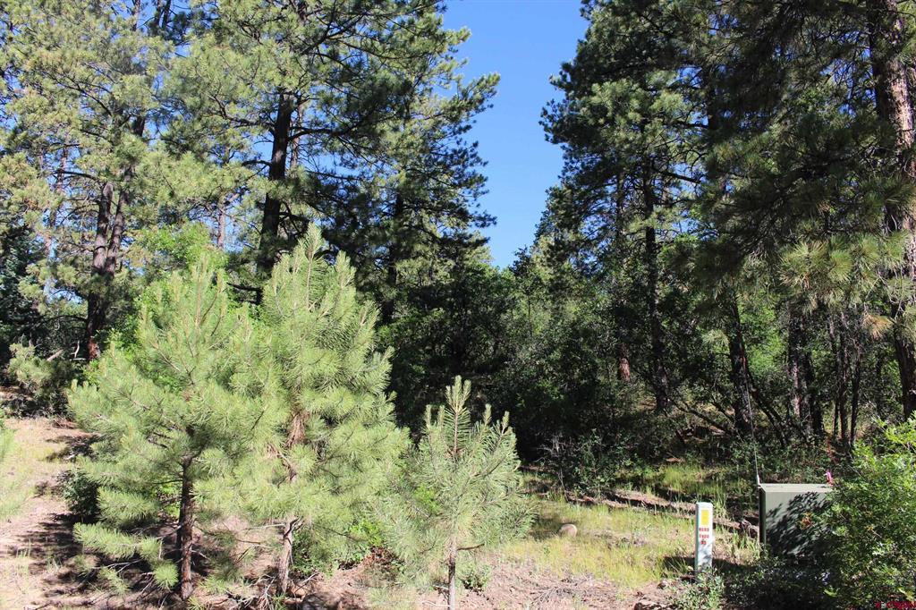 1422 Needles View Place Pagosa Springs CO 81147