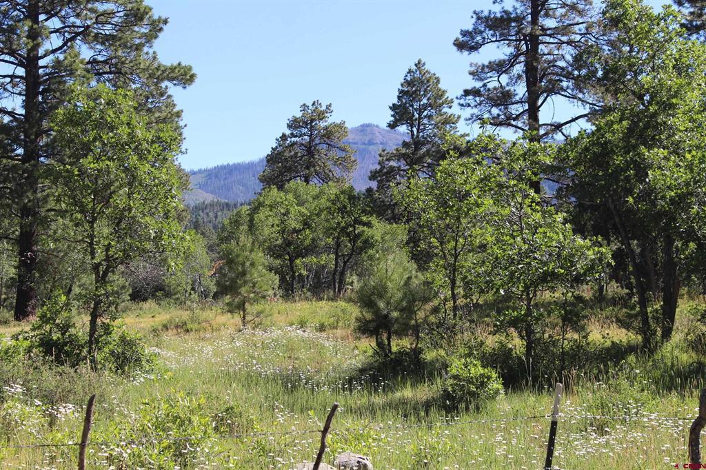 1422 Needles View Place Pagosa Springs CO 81147