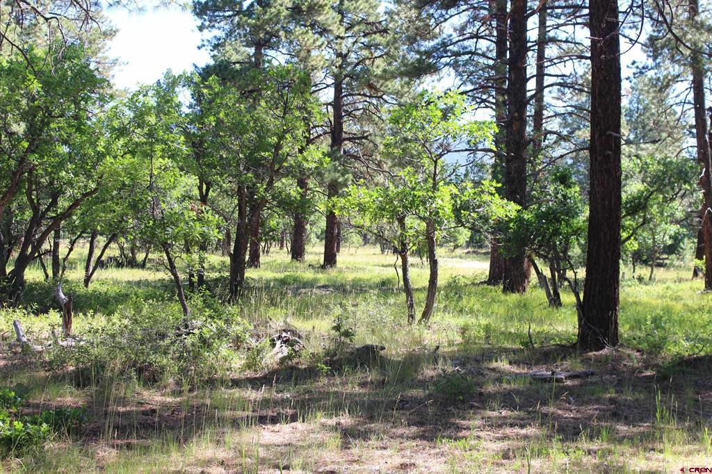 1422 Needles View Place Pagosa Springs CO 81147
