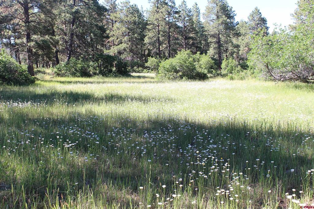 1422 Needles View Place Pagosa Springs CO 81147