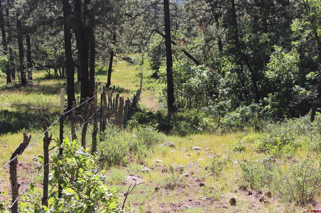 1422 Needles View Place Pagosa Springs CO 81147