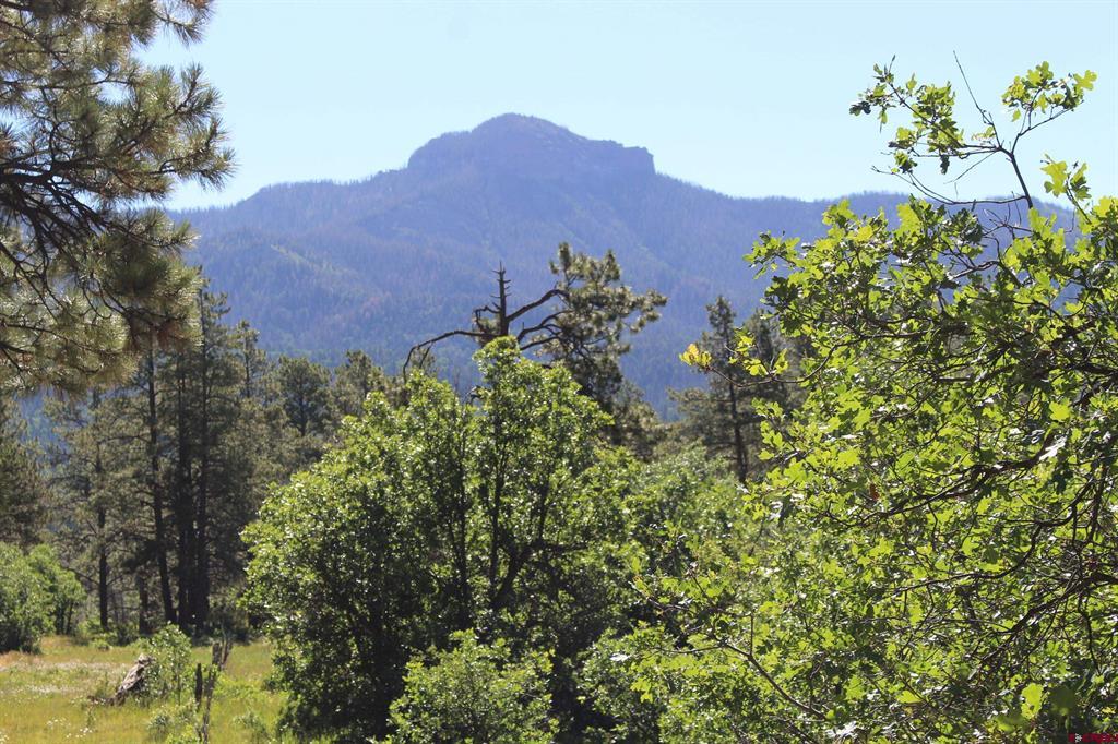 1422 Needles View Place Pagosa Springs CO 81147