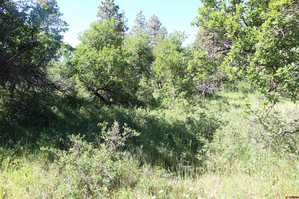 1422 Needles View Place Pagosa Springs CO 81147