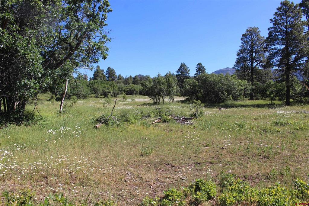 1422 Needles View Place Pagosa Springs CO 81147