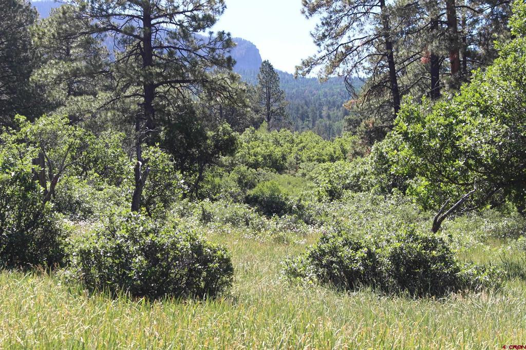 1422 Needles View Place Pagosa Springs CO 81147