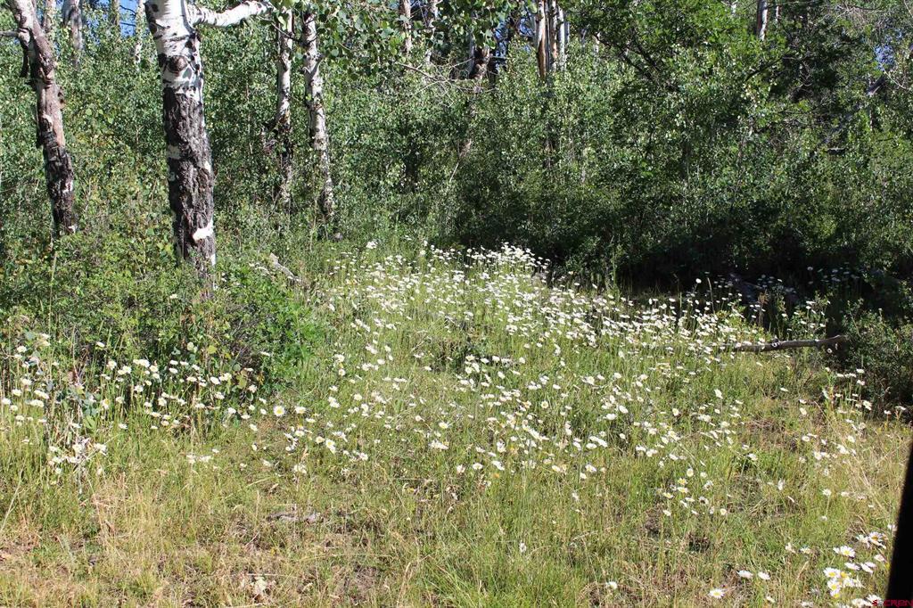 1422 Needles View Place Pagosa Springs CO 81147