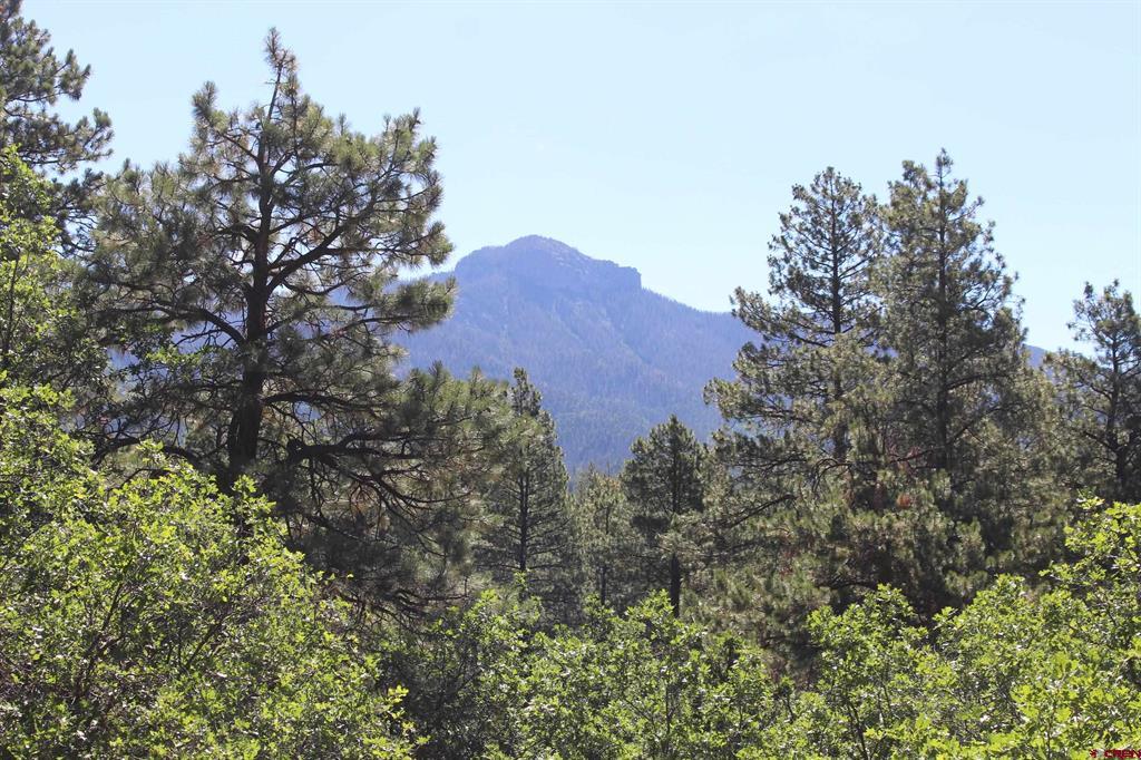 1422 Needles View Place Pagosa Springs CO 81147