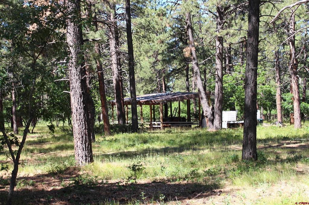 1422 Needles View Place Pagosa Springs CO 81147