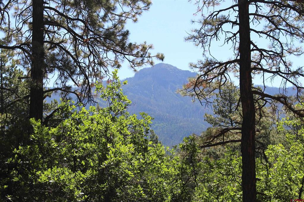 1422 Needles View Place Pagosa Springs CO 81147