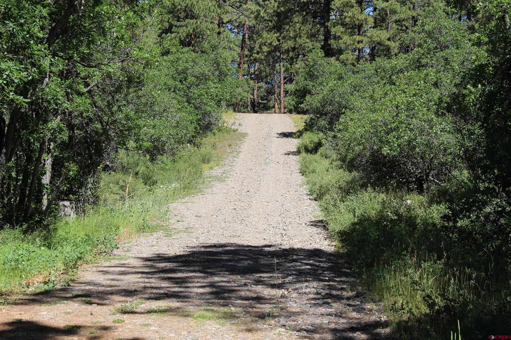 1422 Needles View Place Pagosa Springs CO 81147