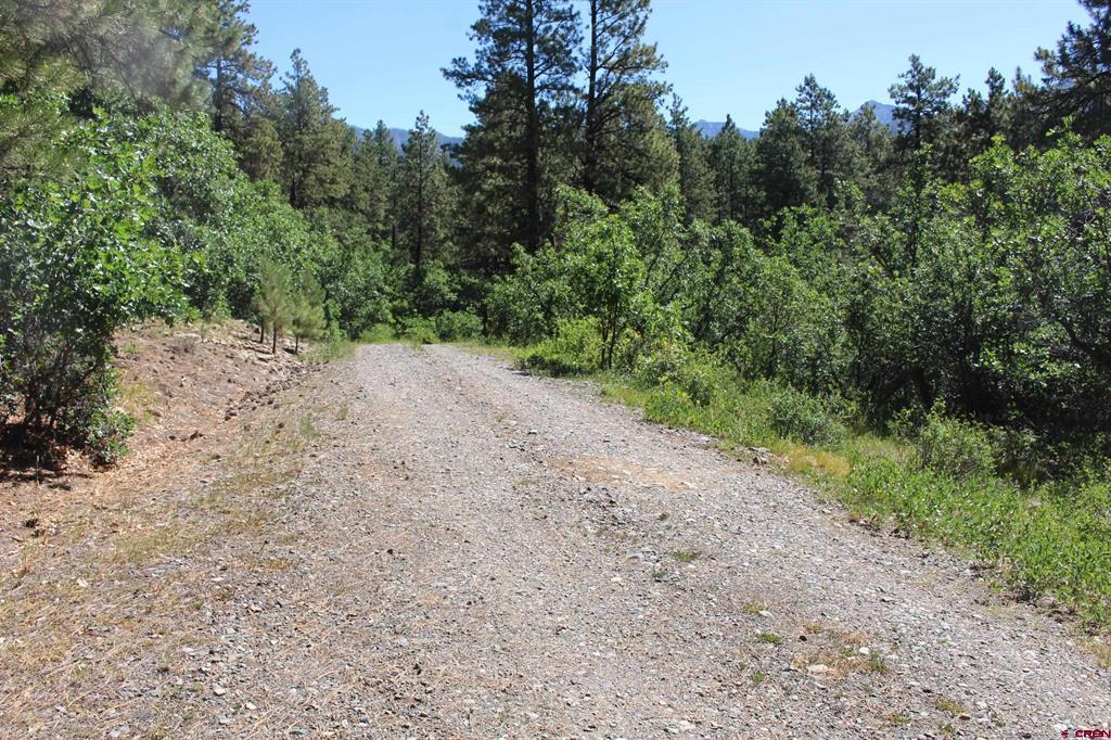 1422 Needles View Place Pagosa Springs CO 81147