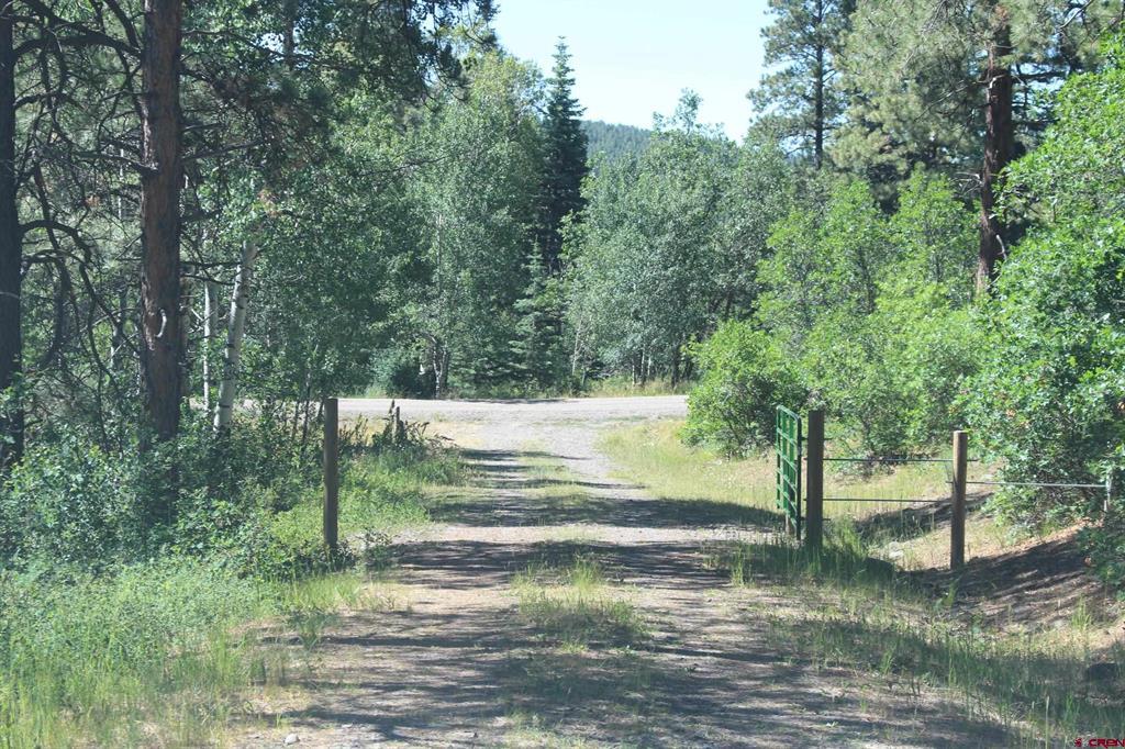1422 Needles View Place Pagosa Springs CO 81147