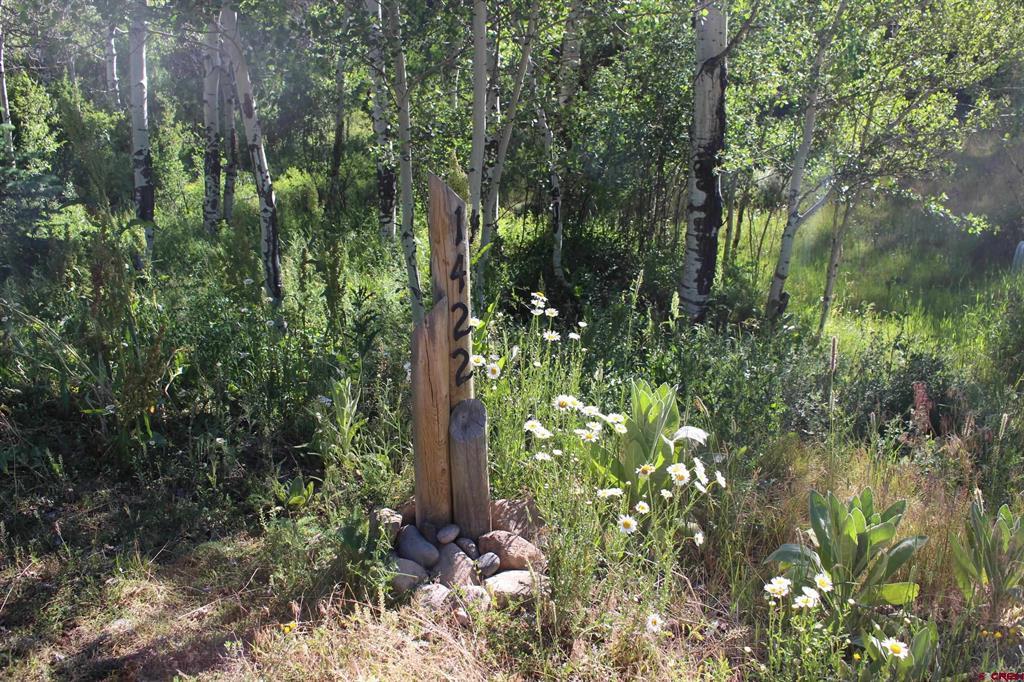 1422 Needles View Place Pagosa Springs CO 81147