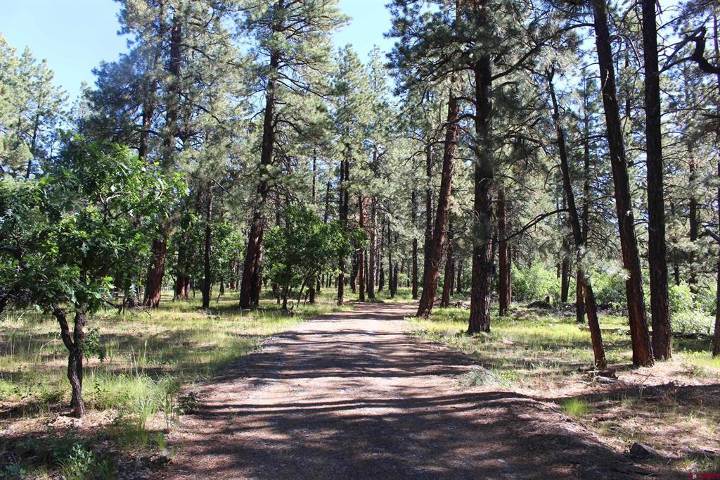 1422 Needles View Place Pagosa Springs CO 81147
