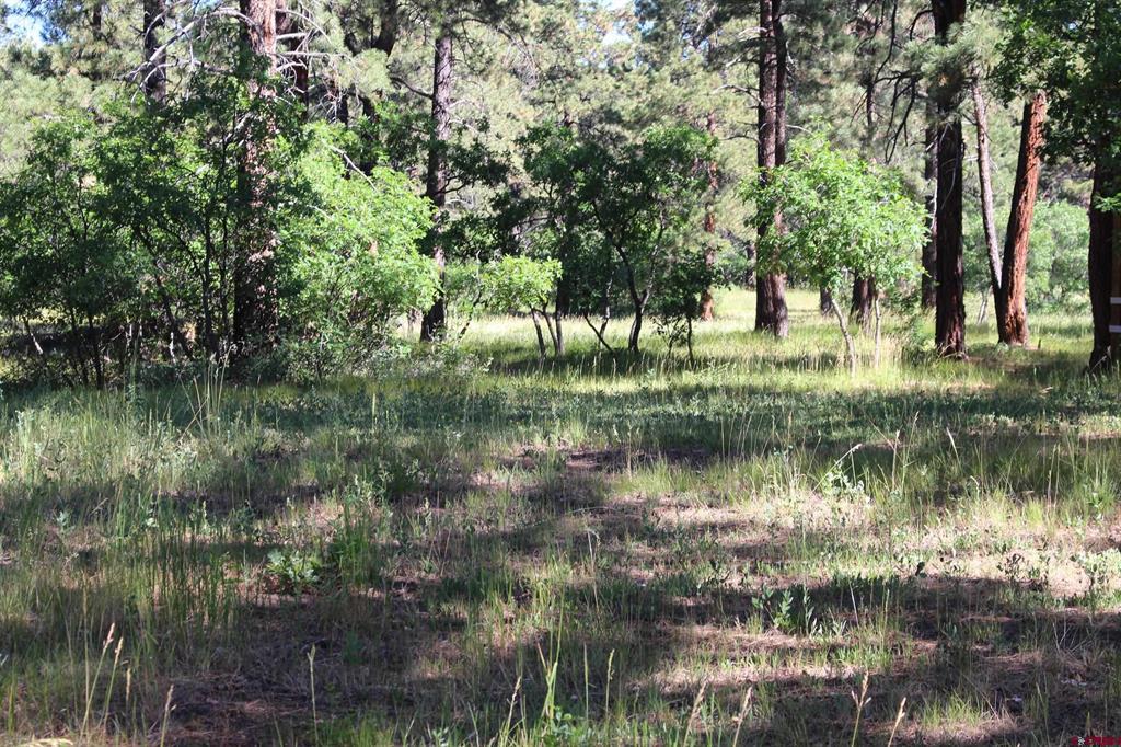 1422 Needles View Place Pagosa Springs CO 81147