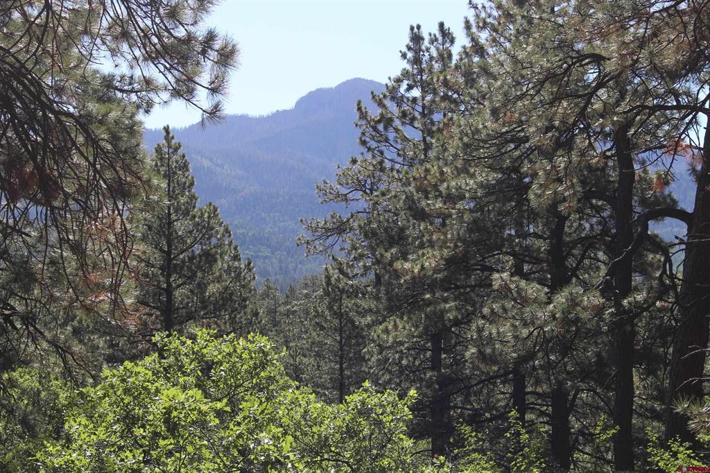 1422 Needles View Place Pagosa Springs CO 81147
