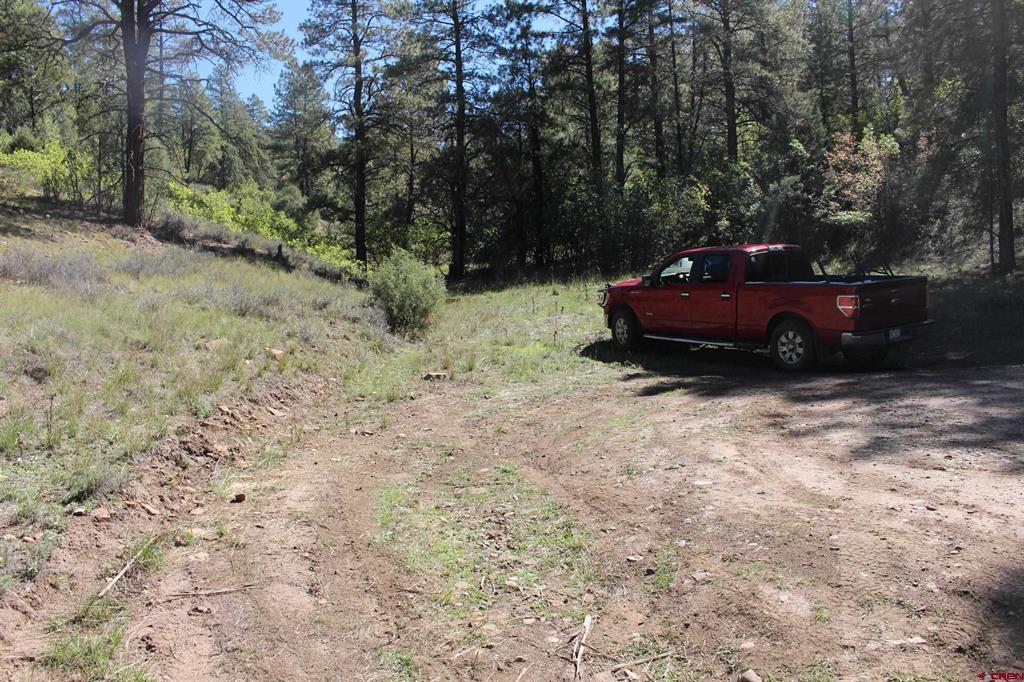 290 Wits End Place Pagosa Springs CO 81147