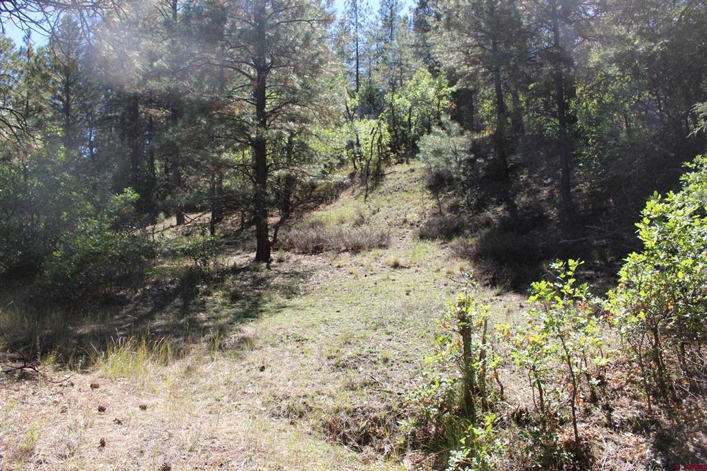 290 Wits End Place Pagosa Springs CO 81147