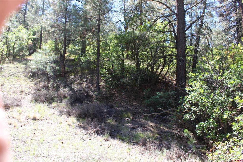 290 Wits End Place Pagosa Springs CO 81147