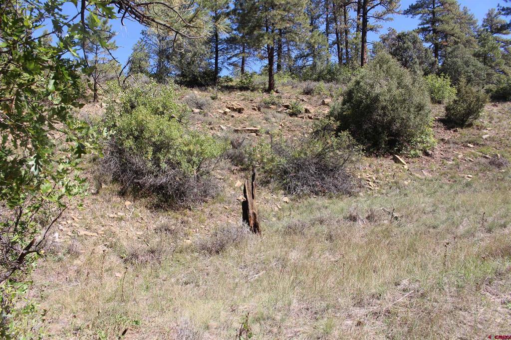 290 Wits End Place Pagosa Springs CO 81147