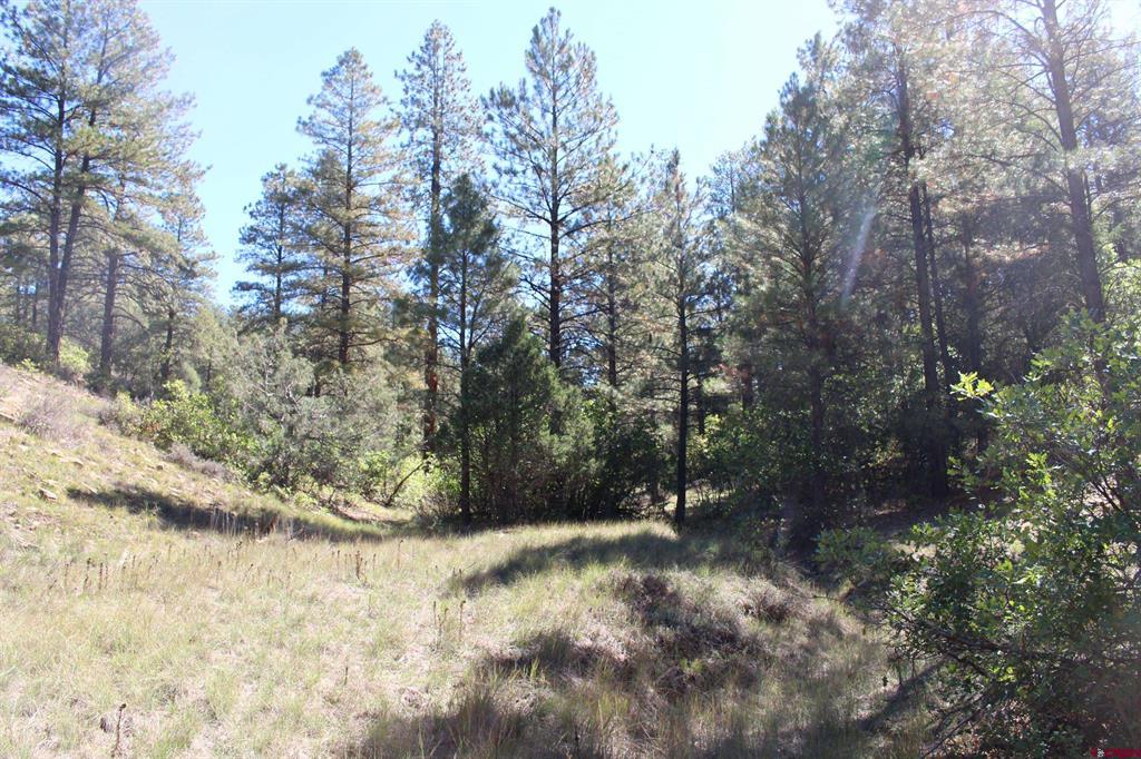 290 Wits End Place Pagosa Springs CO 81147