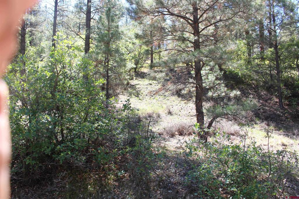 290 Wits End Place Pagosa Springs CO 81147