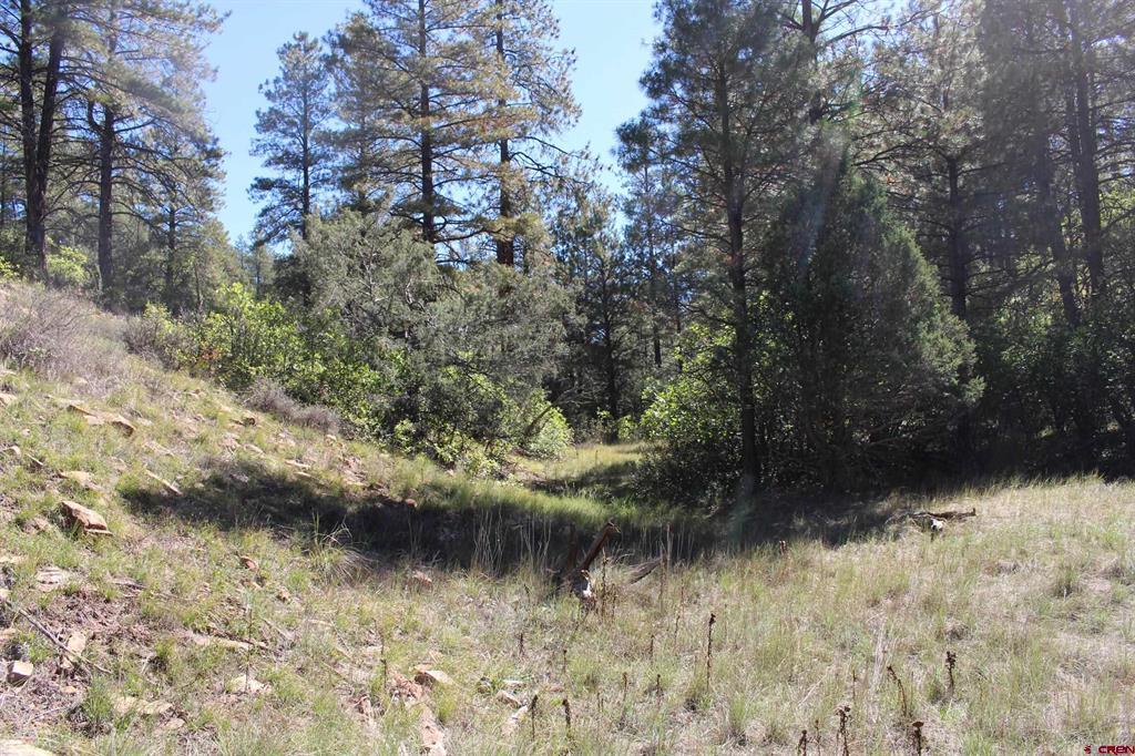 290 Wits End Place Pagosa Springs CO 81147
