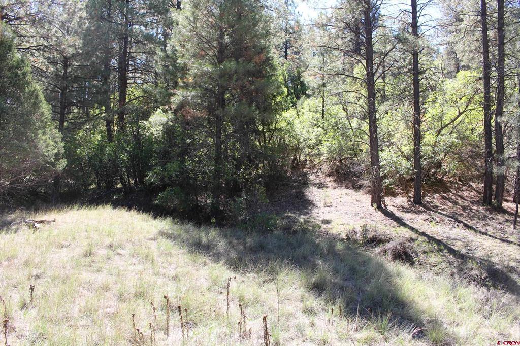 290 Wits End Place Pagosa Springs CO 81147