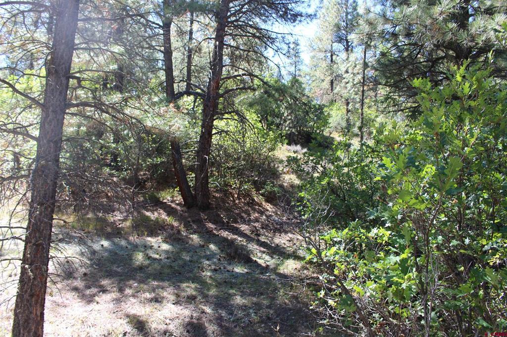 290 Wits End Place Pagosa Springs CO 81147