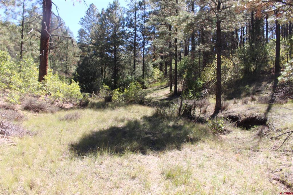 290 Wits End Place Pagosa Springs CO 81147