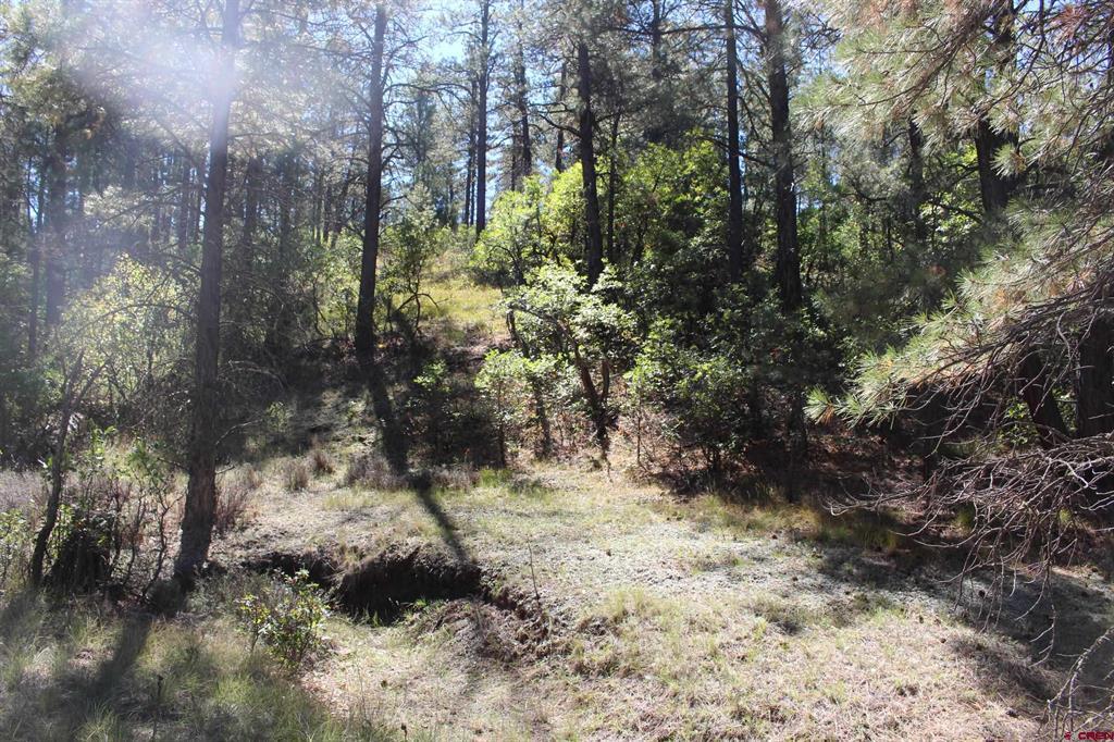 290 Wits End Place Pagosa Springs CO 81147