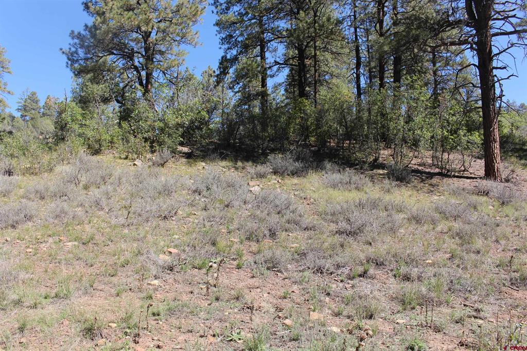 290 Wits End Place Pagosa Springs CO 81147