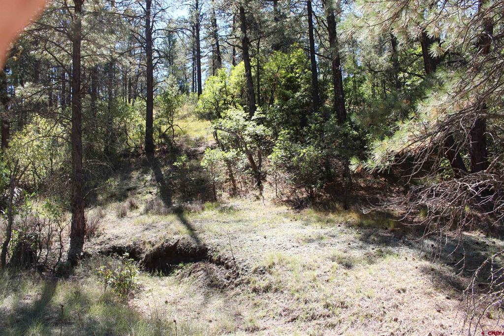 290 Wits End Place Pagosa Springs CO 81147