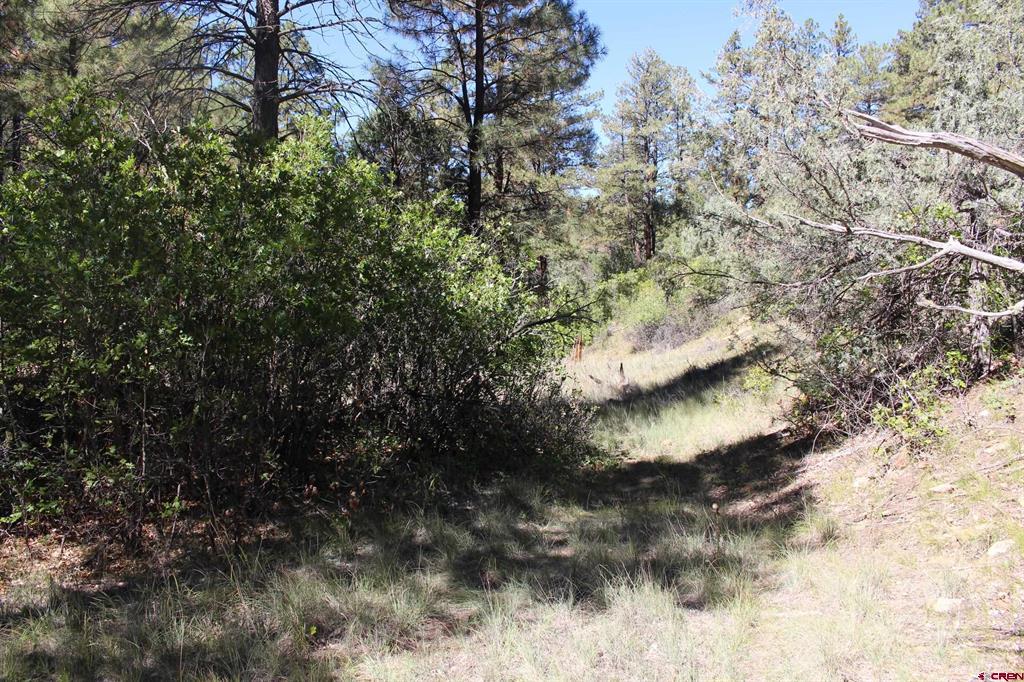 290 Wits End Place Pagosa Springs CO 81147