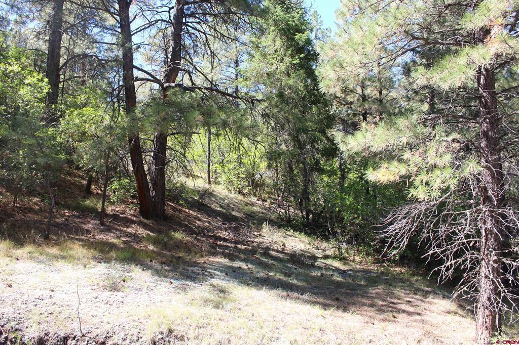 290 Wits End Place Pagosa Springs CO 81147