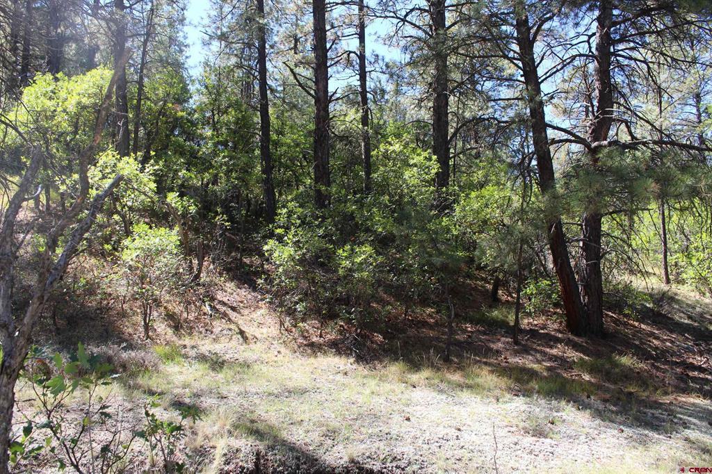 290 Wits End Place Pagosa Springs CO 81147