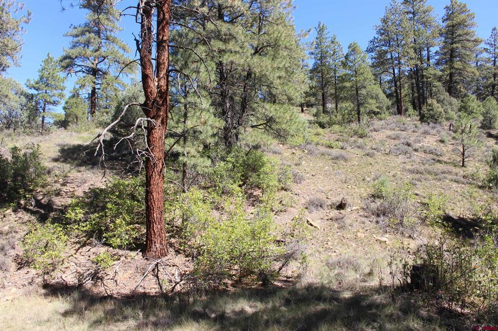 290 Wits End Place Pagosa Springs CO 81147