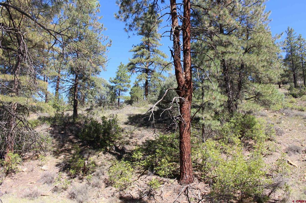 290 Wits End Place Pagosa Springs CO 81147
