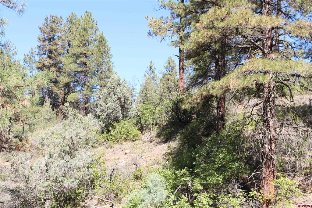 290 Wits End Place Pagosa Springs CO 81147