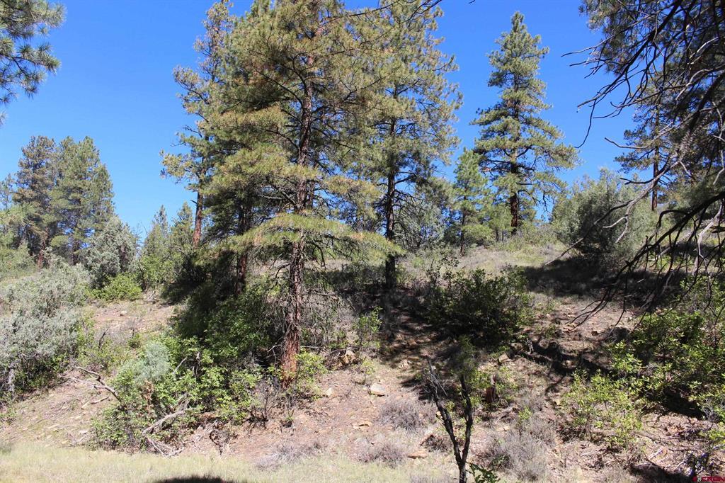 290 Wits End Place Pagosa Springs CO 81147