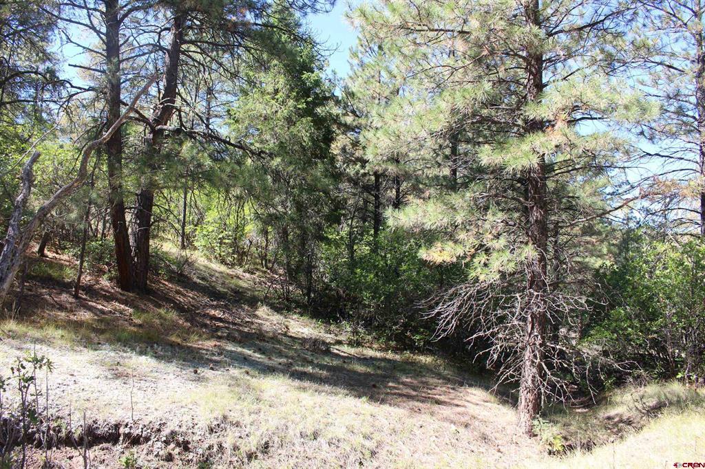 290 Wits End Place Pagosa Springs CO 81147