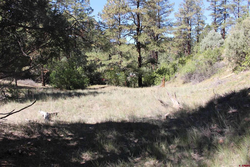 290 Wits End Place Pagosa Springs CO 81147