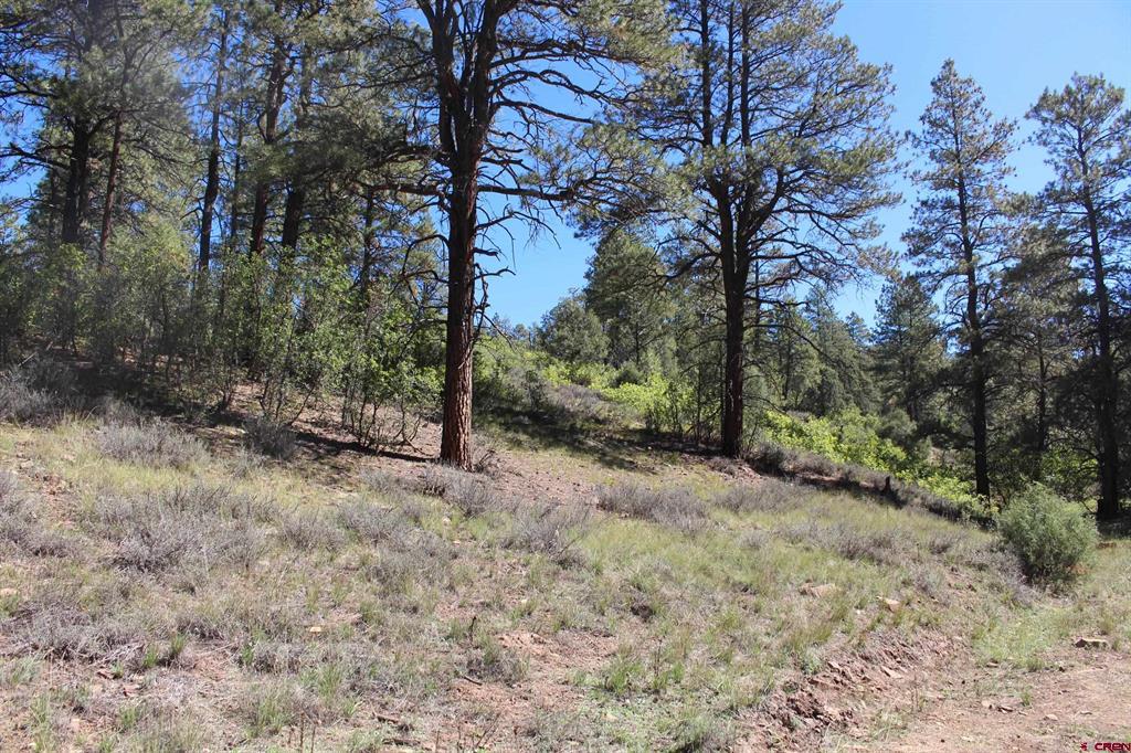 290 Wits End Place Pagosa Springs CO 81147