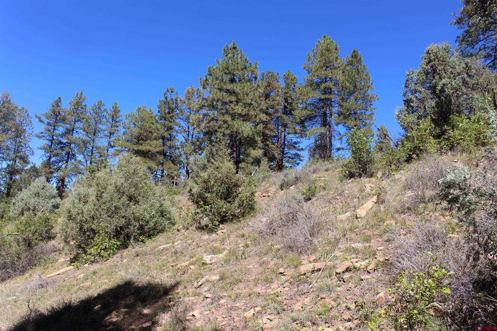 290 Wits End Place Pagosa Springs CO 81147