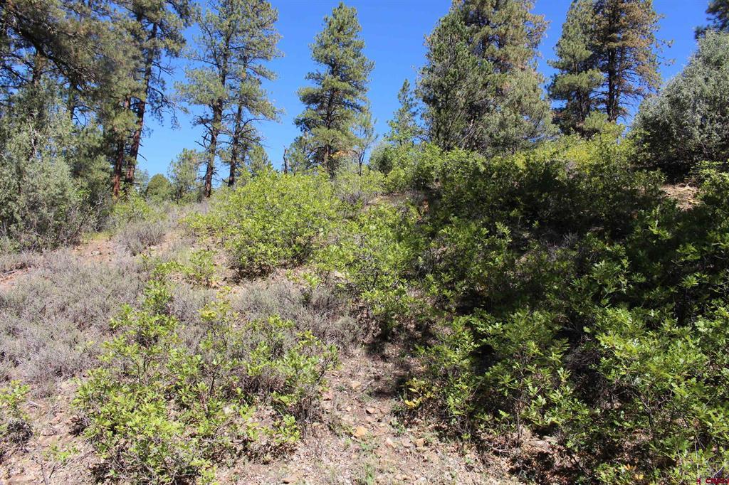 290 Wits End Place Pagosa Springs CO 81147